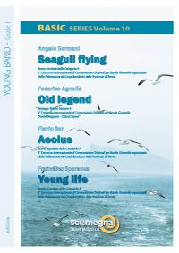 copertina BASIC Series Vol. 10 Scomegna