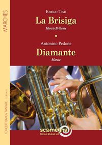 copertina DIAMANTE Scomegna