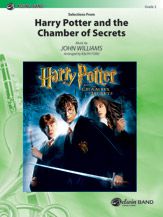 copertina Harry Potter And The Chamber Of Secrets Warner Alfred