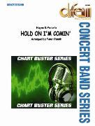 copertina Hold On I Am Comin Difem