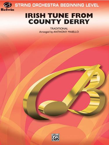 copertina Irish Tune from County Derry Warner Alfred