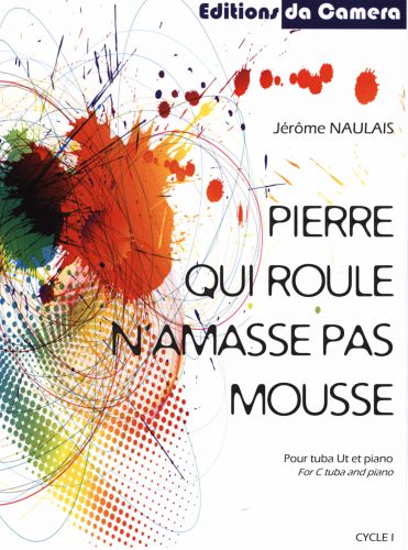 copertina Pierre qui roule n'amasse pas mousse DA CAMERA