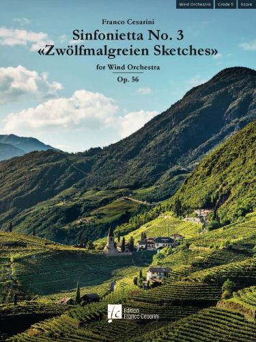 copertina Sinfonietta No. 3 Zwlmalgreien Sketches Op. 56 De Haske