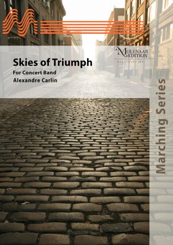 copertina Skies of Triumph Molenaar