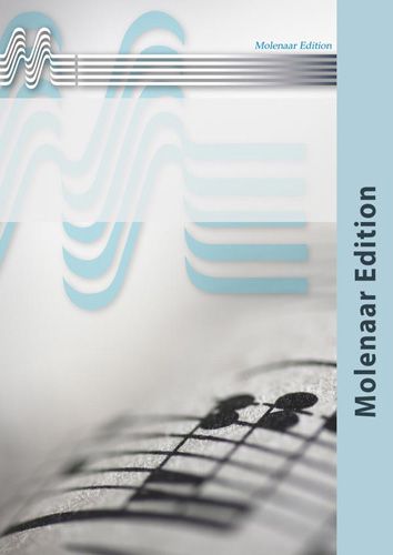 copertina Symphony in C Minor - IInd Movement Molenaar