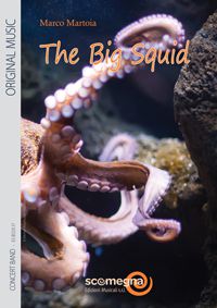 copertina THE BIG SQUID Scomegna