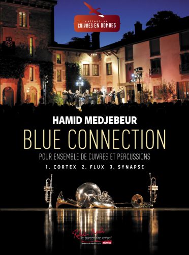 couverture BLUE CONNECTION Editions Robert Martin