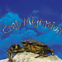 couverture Cd Crab Migration Molenaar