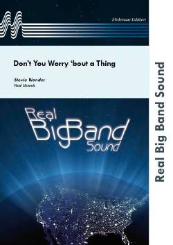 couverture Don't You Worry 'bout a Thing Molenaar