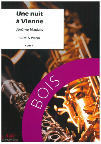 couverture UNE NUIT A VIENNE Editions Robert Martin