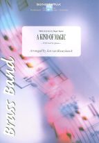 cover A Kind Of Magic Bernaerts