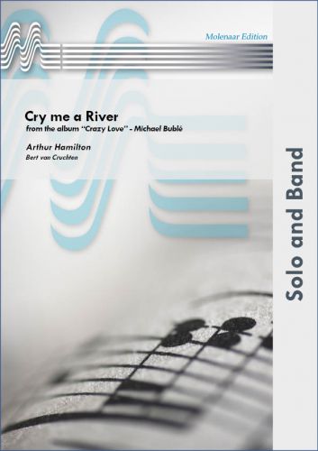 cover Cry me a River Molenaar
