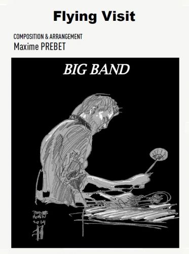 cover Flying Visit Martin Musique