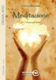 cover Meditazione Scomegna