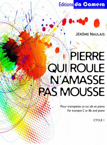 cover Pierre qui roule n'amasse pas mousse DA CAMERA