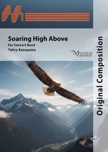 cover Soaring High Above Molenaar
