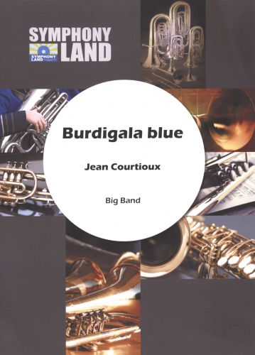 cubierta Burdigala Blue Symphony Land