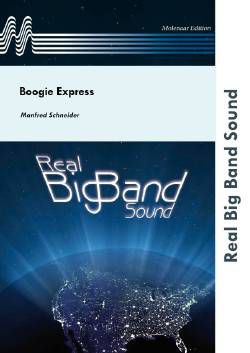 einband Boogie Express Molenaar