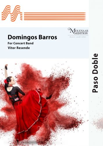 einband Domingos Barros Molenaar