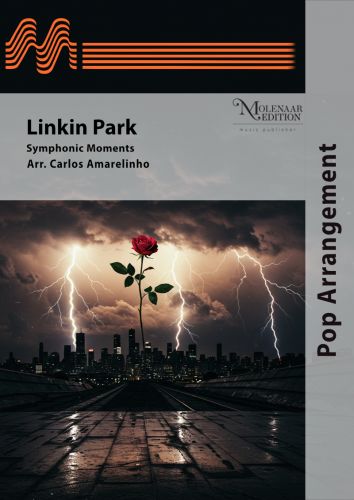 einband Linkin Park Molenaar