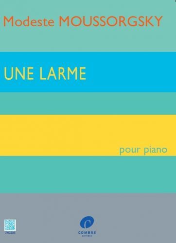 einband Une larme Combre