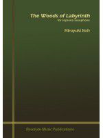 einband WOODS OF LABYRINTH pour sxo soprano Resolute Music Publication