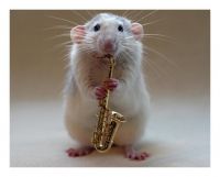 rat saxophone